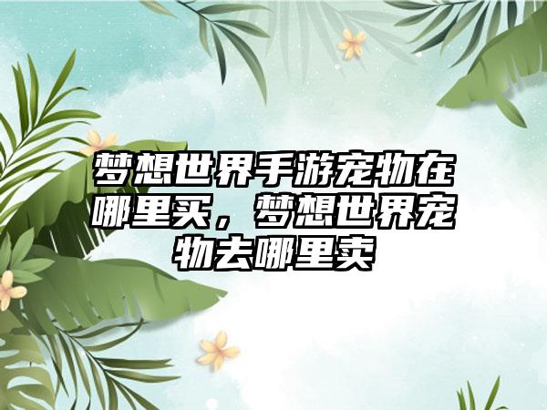 梦想世界手游宠物在哪里买，梦想世界宠物去哪里卖