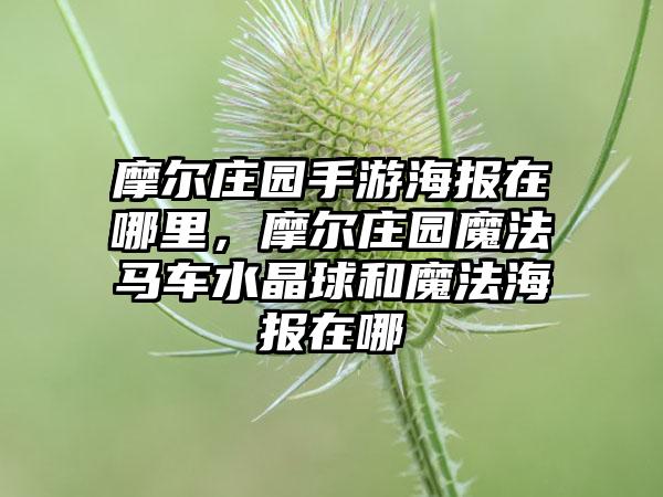 摩尔庄园手游海报在哪里，摩尔庄园魔法马车水晶球和魔法海报在哪