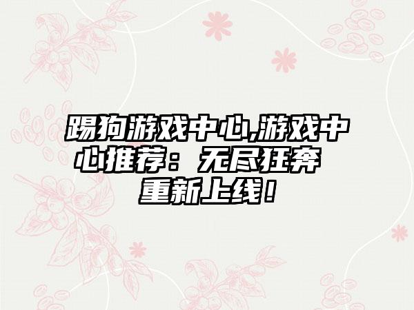 踢狗游戏中心,游戏中心推荐：无尽狂奔 重新上线！