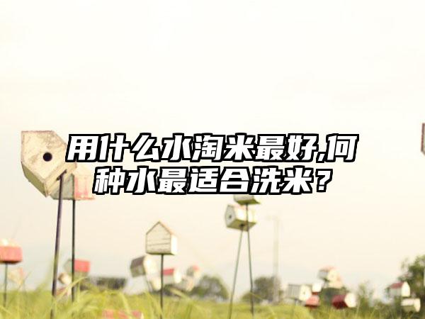 用什么水淘米最好,何种水最适合洗米？