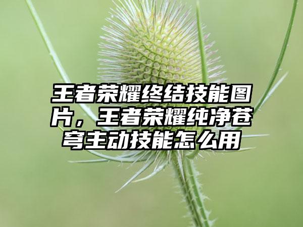 王者荣耀终结技能图片,王者荣耀纯净苍穹主动技能怎么用