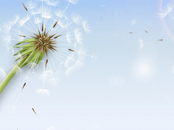 美少女梦工厂4攻略,美少女梦工厂4全流程指南