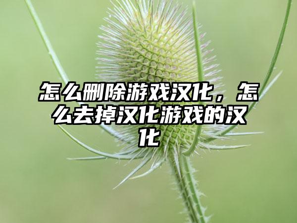 怎么删除游戏汉化，怎么去掉汉化游戏的汉化