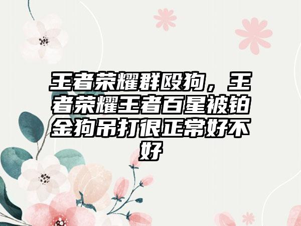 王者荣耀群殴狗，王者荣耀王者百星被铂金狗吊打很正常好不好