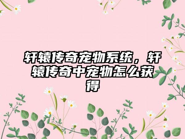 轩辕传奇宠物系统，轩辕传奇中宠物怎么获得