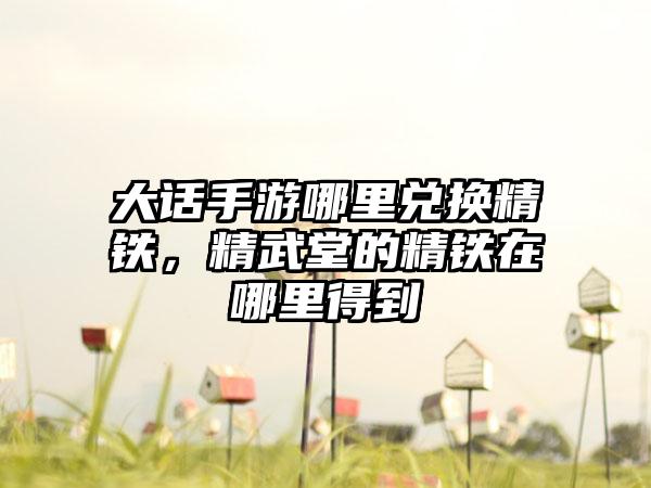 大话手游哪里兑换精铁，精武堂的精铁在哪里得到