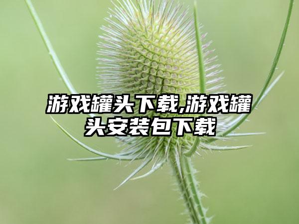 游戏罐头下载,游戏罐头安装包下载