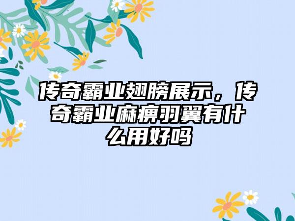 传奇霸业翅膀展示，传奇霸业麻痹羽翼有什么用好吗