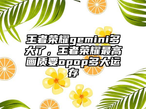 王者荣耀gemini多大了，王者荣耀最高画质要opop多大运存