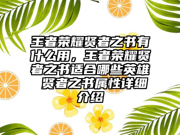 王者荣耀贤者之书有什么用，王者荣耀贤者之书适合哪些英雄 贤者之书属性详细介绍
