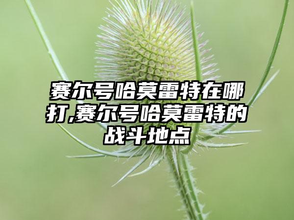赛尔号哈莫雷特在哪打,赛尔号哈莫雷特的战斗地点