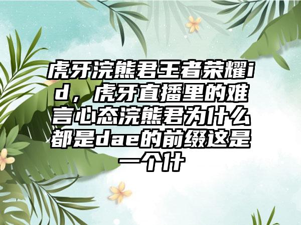 虎牙浣熊君王者荣耀id，虎牙直播里的难言心态浣熊君为什么都是dae的前缀这是一个什