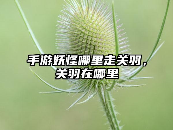手游妖怪哪里走关羽，关羽在哪里