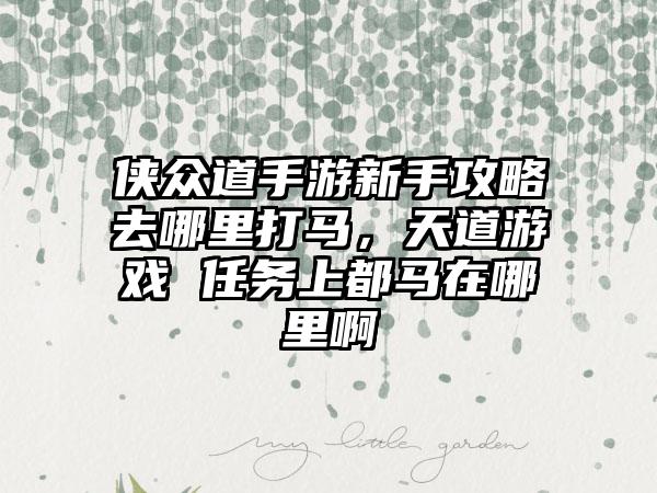 侠众道手游新手攻略去哪里打马，天道游戏 任务上都马在哪里啊