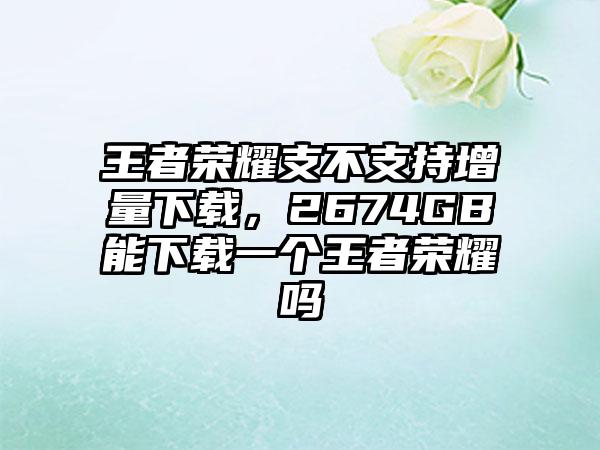 王者荣耀支不支持增量下载，2674GB能下载一个王者荣耀吗