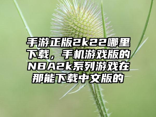 手游正版2k22哪里下载，手机游戏版的NBA2k系列游戏在那能下载中文版的