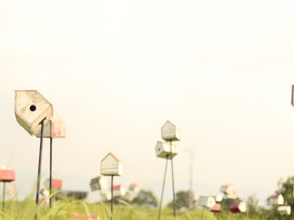 天将雄师 怎么省洗练