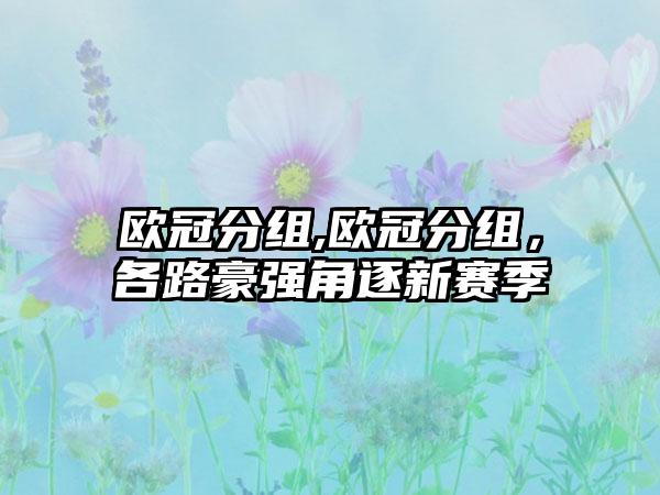 欧冠分组,欧冠分组,各路豪强角逐新赛季
