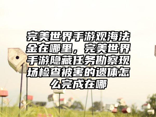 完美世界手游观海法金在哪里，完美世界手游隐藏任务勘察现场检查被害的遗体怎么完成在哪