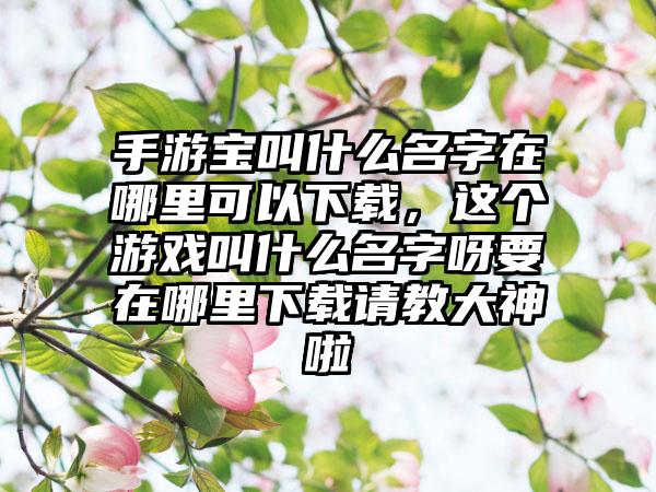 手游宝叫什么名字在哪里可以下载，这个游戏叫什么名字呀要在哪里下载请教大神啦