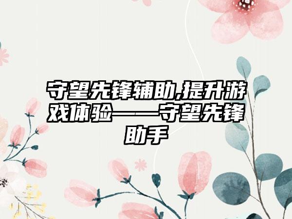 守望先锋辅助,提升游戏体验——守望先锋助手