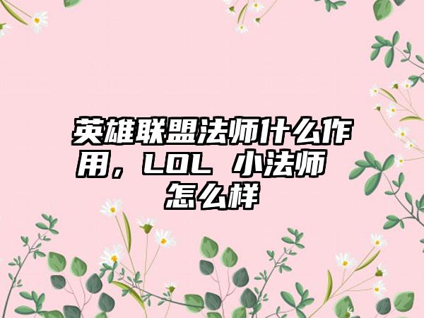 英雄联盟法师什么作用，LOL 小法师 怎么样