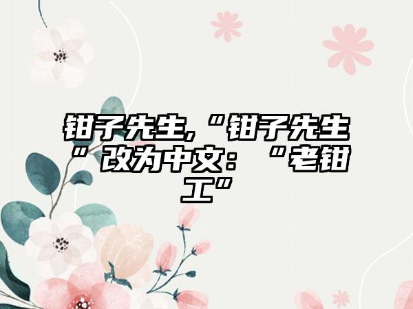 钳子先生,“钳子先生”改为中文：“老钳工”