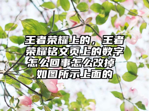 王者荣耀上的，王者荣耀铭文页上的数字怎么回事怎么改掉 如图所示上面的