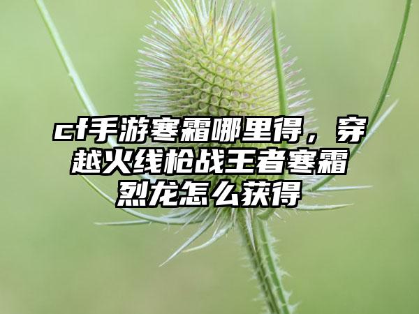 cf手游寒霜哪里得，穿越火线枪战王者寒霜烈龙怎么获得