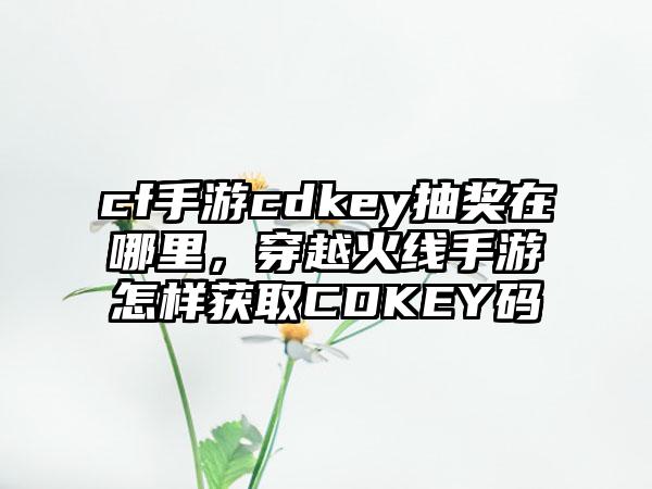 cf手游cdkey抽奖在哪里，穿越火线手游怎样获取CDKEY码