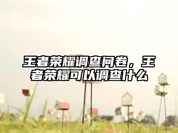 王者荣耀调查问卷，王者荣耀可以调查什么