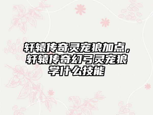 轩辕传奇灵宠狼加点，轩辕传奇幻弓灵宠狼学什么技能