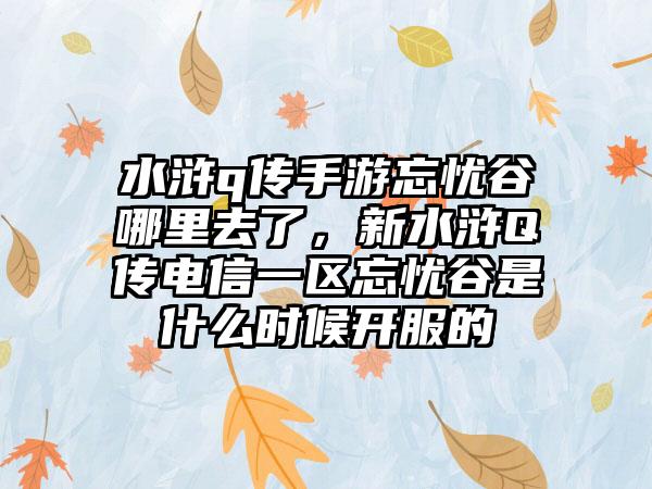 水浒q传手游忘忧谷哪里去了，新水浒Q传电信一区忘忧谷是什么时候开服的