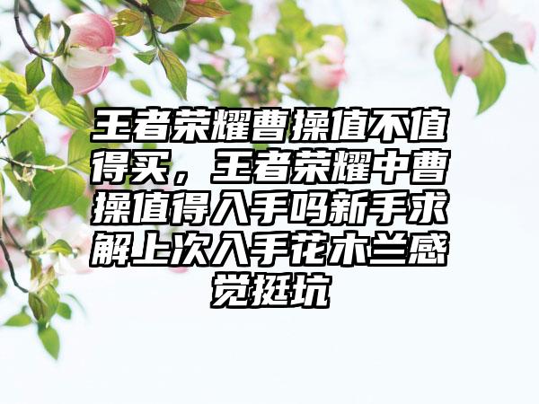 王者荣耀曹操值不值得买，王者荣耀中曹操值得入手吗新手求解上次入手花木兰感觉挺坑