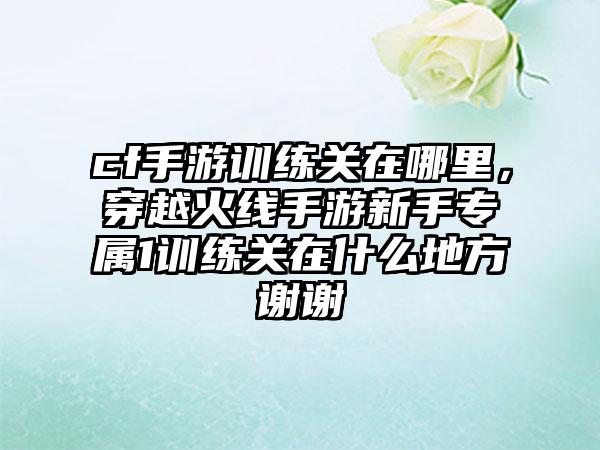 cf手游训练关在哪里，穿越火线手游新手专属1训练关在什么地方谢谢