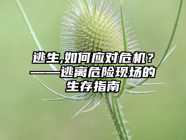 逃生,如何应对危机？——逃离危险现场的生存指南