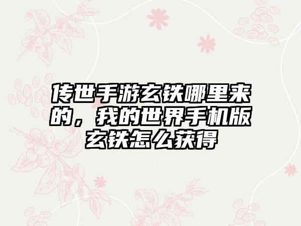 传世手游玄铁哪里来的，我的世界手机版玄铁怎么获得