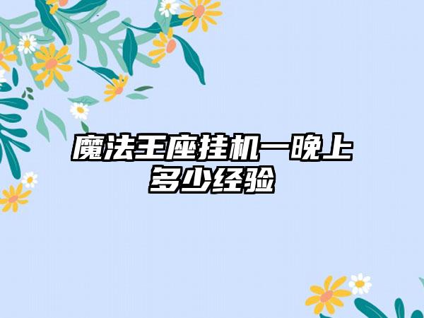 魔法王座挂机一晚上多少经验