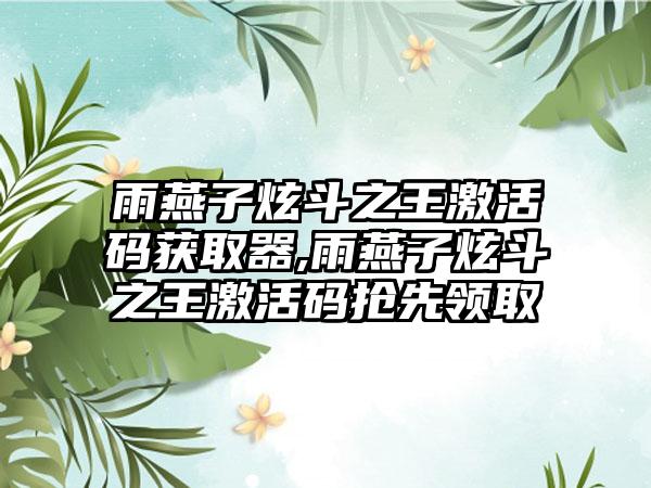 雨燕子炫斗之王激活码获取器,雨燕子炫斗之王激活码抢先领取