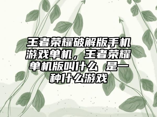 王者荣耀破解版手机游戏单机，王者荣耀单机版叫什么 是一种什么游戏
