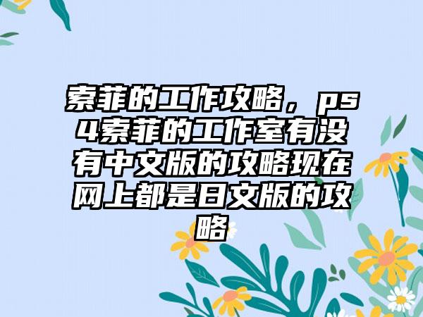 索菲的工作攻略，ps4索菲的工作室有没有中文版的攻略现在网上都是日文版的攻略