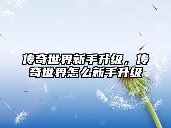 传奇世界新手升级,传奇世界怎么新手升级