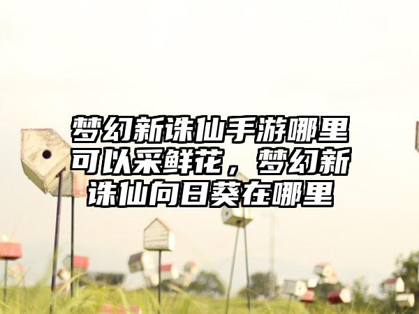 梦幻新诛仙手游哪里可以采鲜花，梦幻新诛仙向日葵在哪里