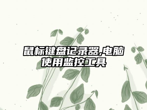 鼠标键盘记录器,电脑使用监控工具