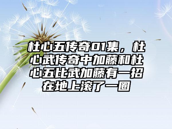 杜心五传奇01集，杜心武传奇中加藤和杜心五比武加藤有一招在地上滚了一圈