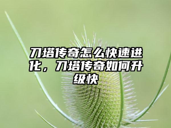 刀塔传奇怎么快速进化，刀塔传奇如何升级快