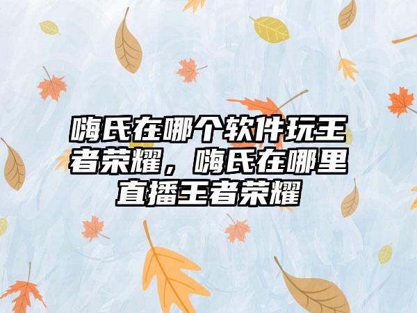 嗨氏在哪个软件玩王者荣耀，嗨氏在哪里直播王者荣耀