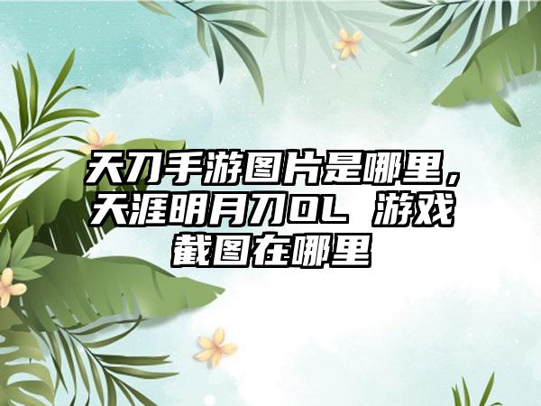 天刀手游图片是哪里,天涯明月刀OL 游戏截图在哪里