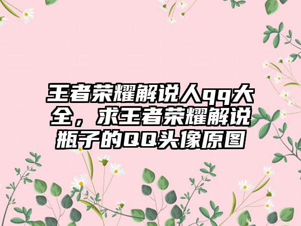 王者荣耀解说人qq大全，求王者荣耀解说瓶子的QQ头像原图
