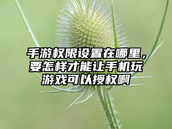 手游权限设置在哪里，要怎样才能让手机玩游戏可以授权啊
